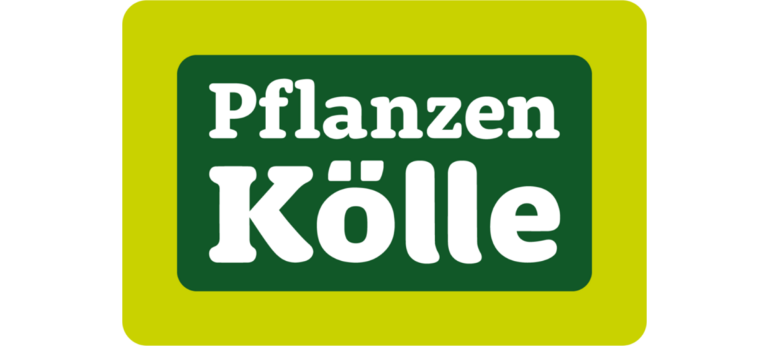 pflanzenKoelle_MitHintergrund
